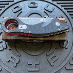 Spartan Ronin Shoto SFBL9BK Black G10 Karambit Folding Knife