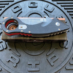Spartan Ronin Shoto SFBL9BK Black G10 Karambit Folding Knife